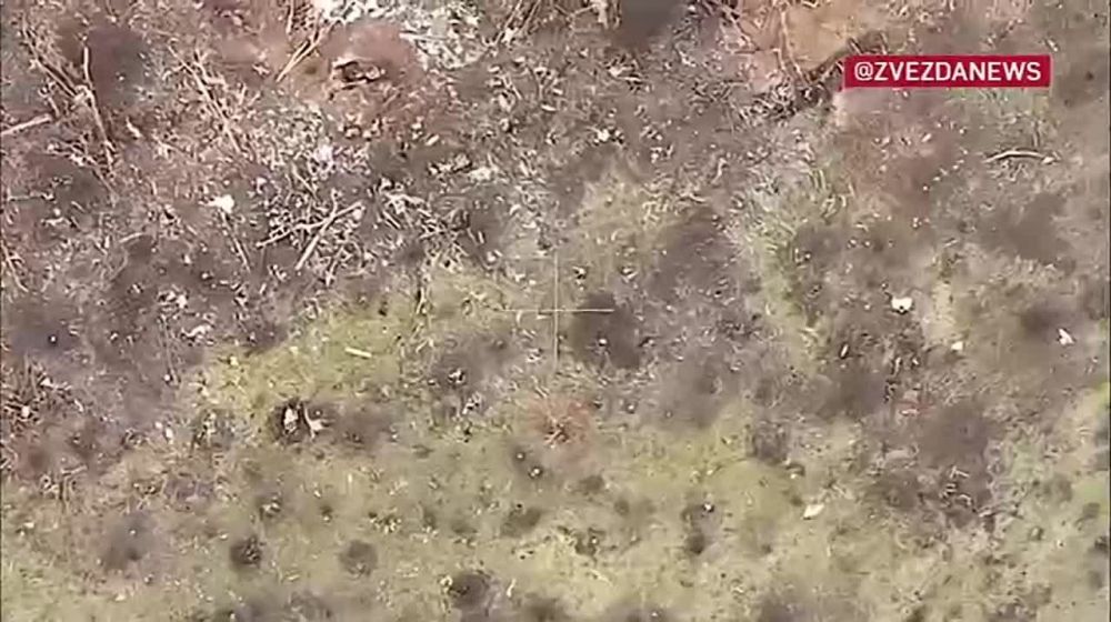 ����� ������ ���������� �������� ������ ������������ ��� � ���������