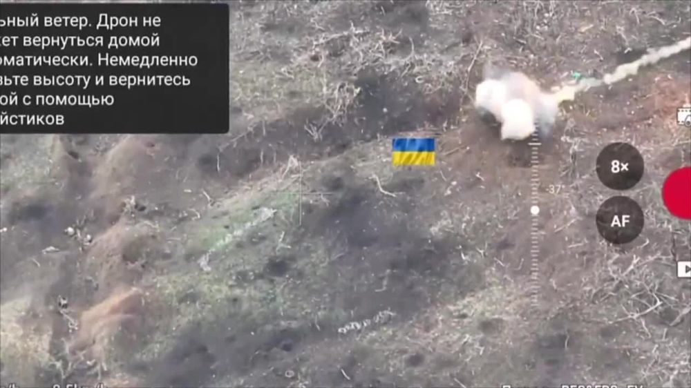 ������ �������: ������ ��������� ���� � ������� ���������� ������������ �� ����������� �����������