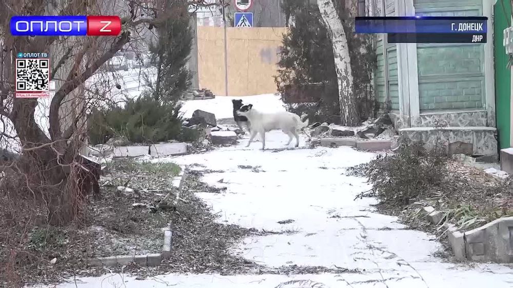 � ���������� ����������� �������� �����