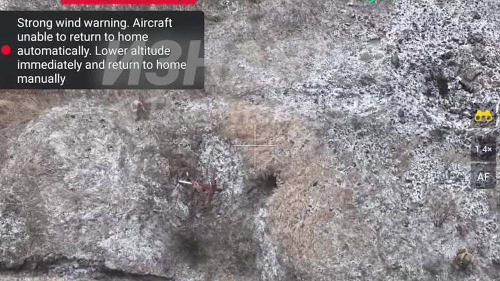 ��������� ������ 20 ��� �������� ������� ��� �� ���������� �����������