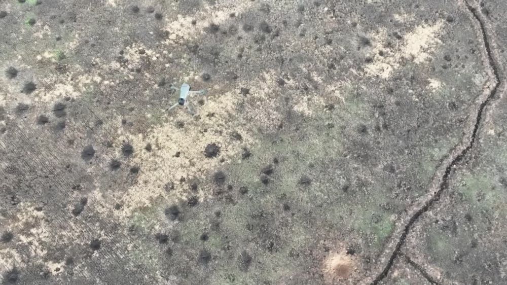 � ������ ���������� ���� ��������� ���� ����� ������� ���������� �����-���