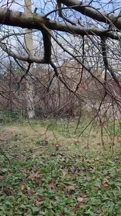 ������ ���������� �����!. � ���� ��������� ��������� ��������� ���� �������� ������ �������� ��� ������� ������������ ����