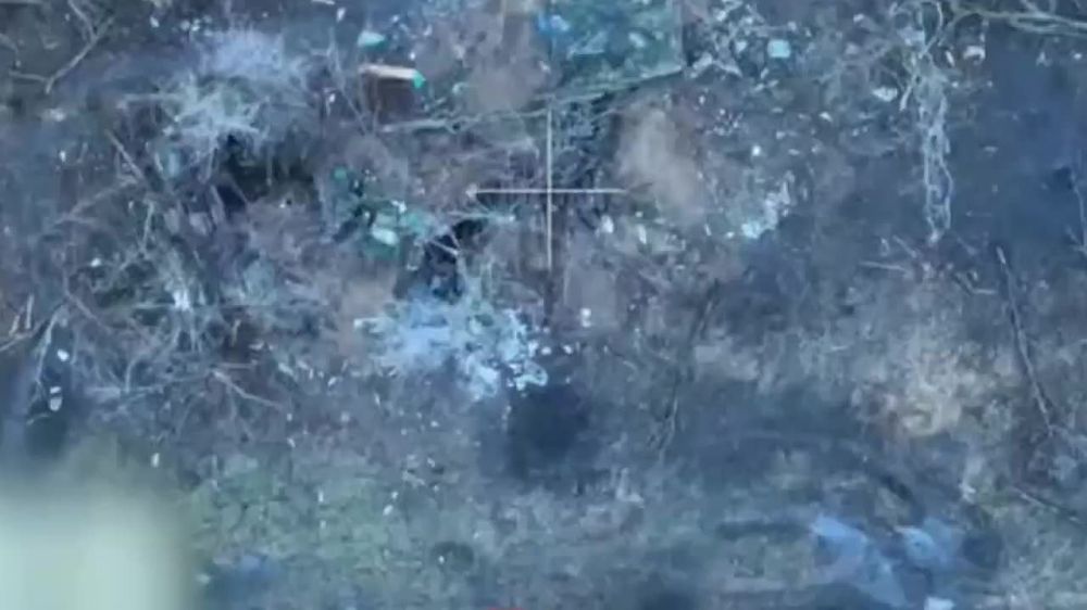 ������� �������: ����� �� ���� ���������� � ����-��������� �����������