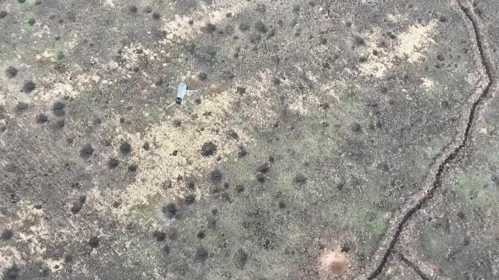 ��������� ���� ���������������� ���������� ��� � ������ ���������� � ��� ����� ���������� �����������, ��������� ��� ��������� "���� ���", � ������� ���������� ������ ����������� ������, �������� � ���������� ��