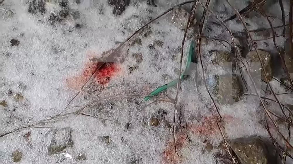 ����������� ������ �������������� �������� � ���� � ���������� ������ �������, � ���������� �������� ������ 6 �������