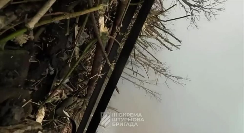 ��������� �������: ���������.. ��� ��������, ��� ��� ��������� ���� ��������� � ���� ����������. ������� ������� ����. ��...