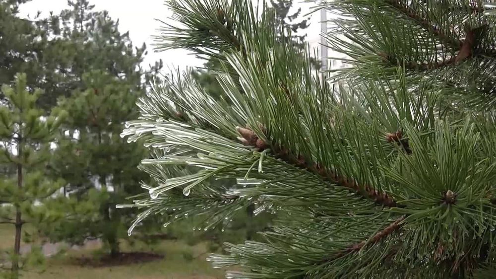 ��� � ����� ����������� ����� �������� ���������� ����?