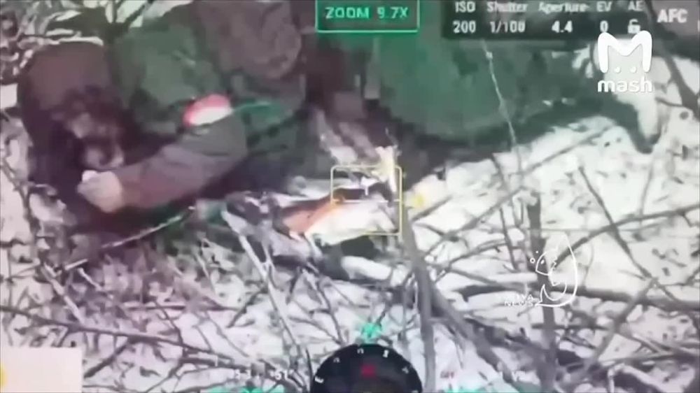 �������� ������: ��� ������������� ������� ������ � ������� 10 ���� �������� ���� ����� � ����� ����