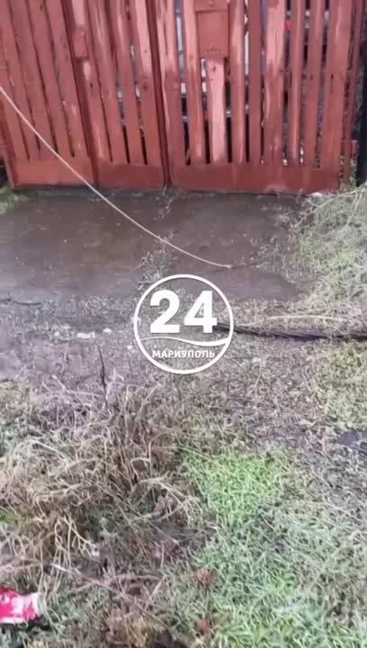 �������������� ������ �� ����� - ������ ��� ������������