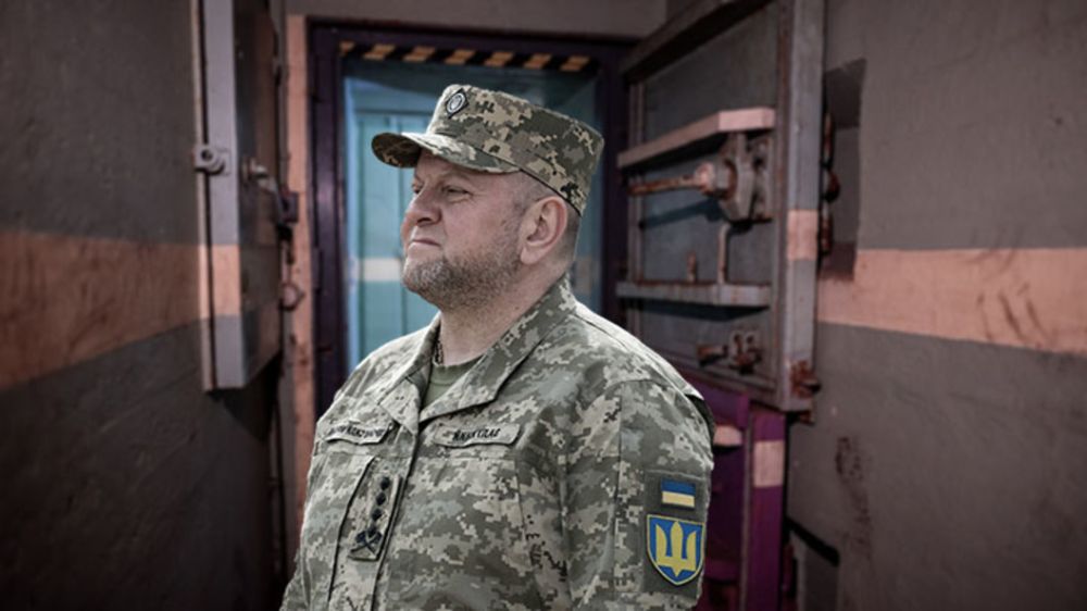 "�������� � �������": ������� �� ����� ����������� �����, �� ������� ������� ������