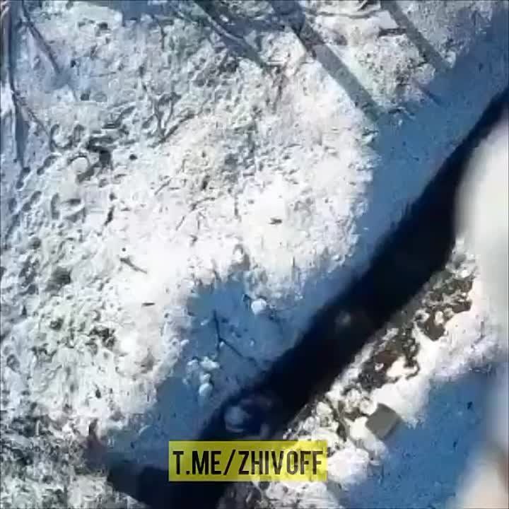 ������� �����: �������� ����� ������� � ���� ���������� �� ��������� �����������