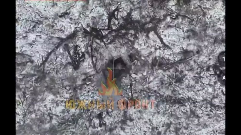 �� �������� "����" �� ���� ����� - �����������