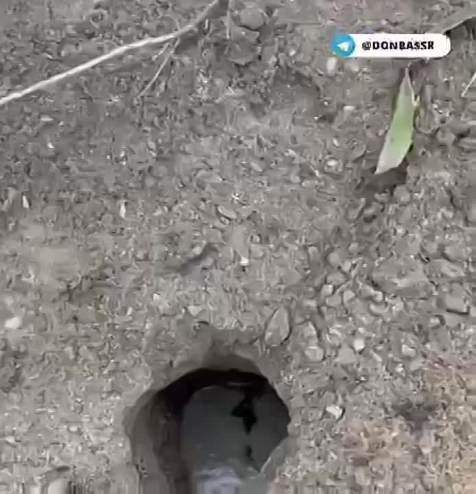 ��� ���������� ������������� ���� ��������� �������