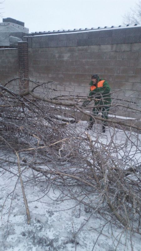 ���� �����������: �������, 13 �������, ������ ������������ ����������� ���������� ������ �� ������� � ������ �� ������ �� ���������� �����������, ��������� � �������