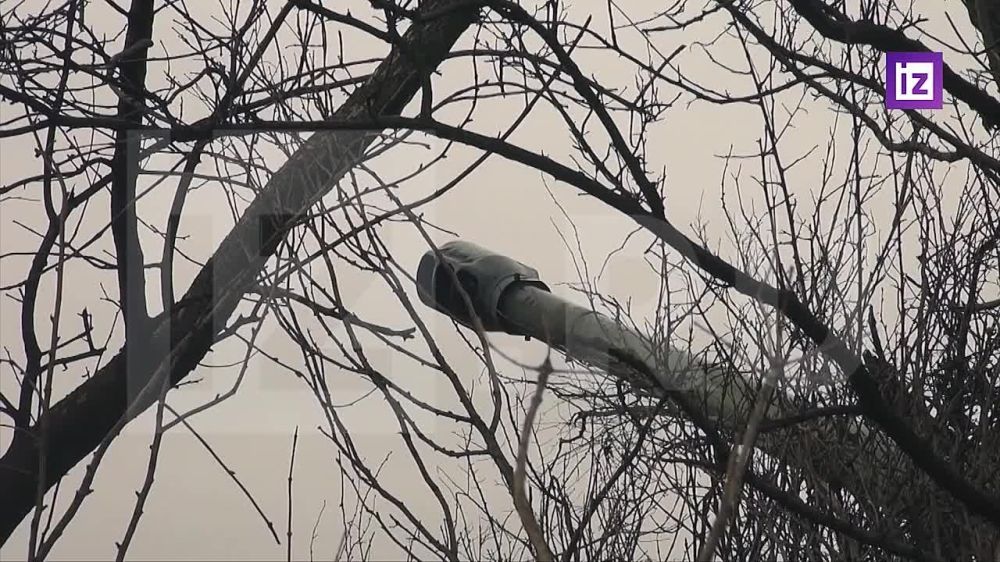 ��������� ������ �� �� ������ ���������� �� ����������� �����������