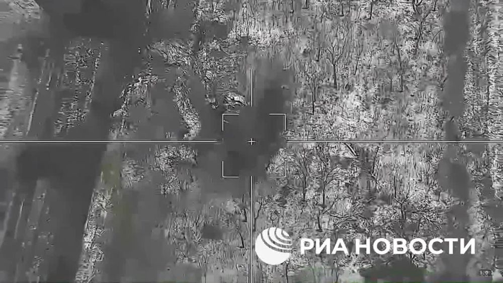 ���� �������: ����������� ����������� - ������ "��������" �� ���������� ������ � ��� � ������ ���������