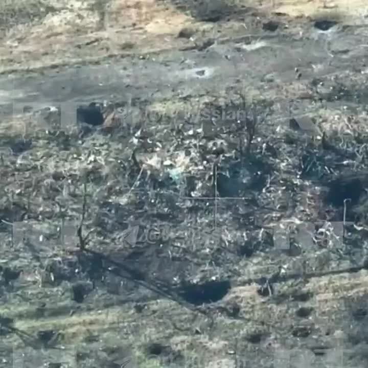 ��������� � ���������. ���������� ������� ����� �������������� ������ ��� ���������� (���)