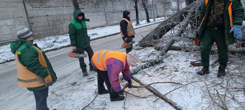 ������� ������: ������� ������ �������������� ���������� ����������� ������������� ������ ������� "����������...