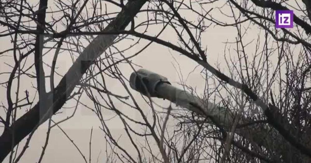 ���������� ������� ������ ��� � ������������ ����������