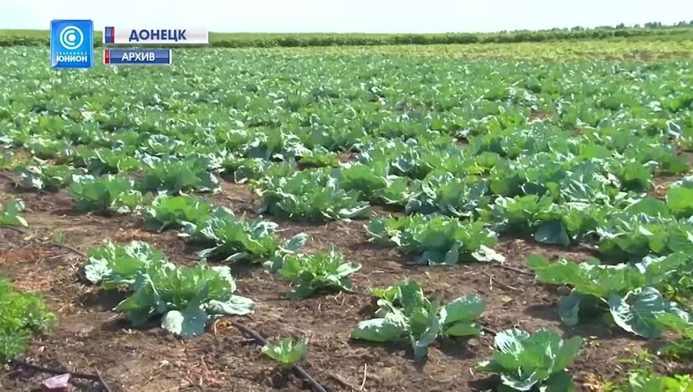 ����� ���� ��������� � �������� � ������������ �����? ����������� ���������� ��������� � ������ �� 2024 ���