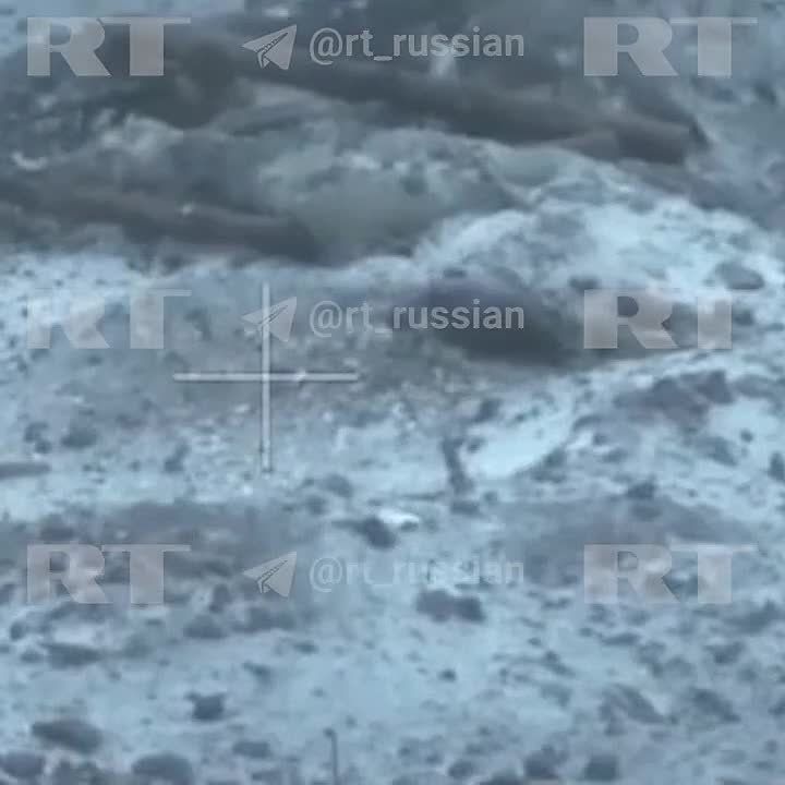 ����� ����������� ������� 10-� ��������� ������� ��� � ������ �������� (���)