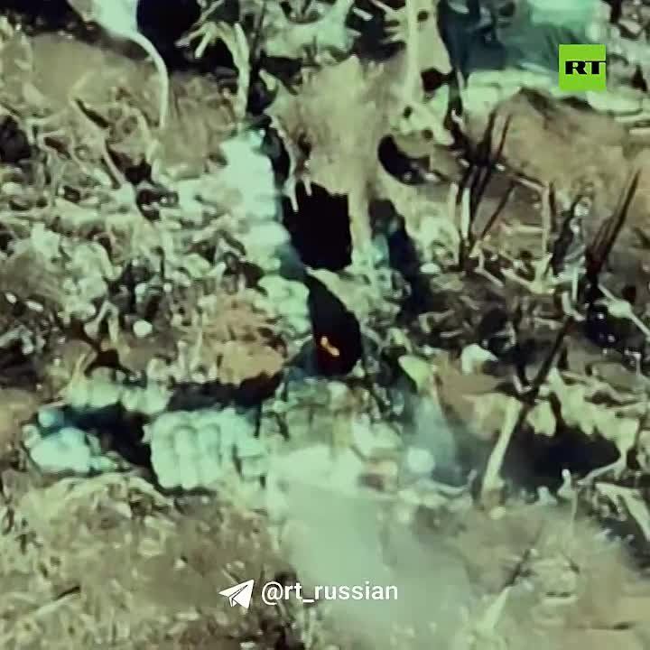 ���������. RT ���� ����� ������� � ��� ����� ������������ �� ��������� ������������ ��������� ������� ����������, ������� ���������� � ������ � ����� ������� ����