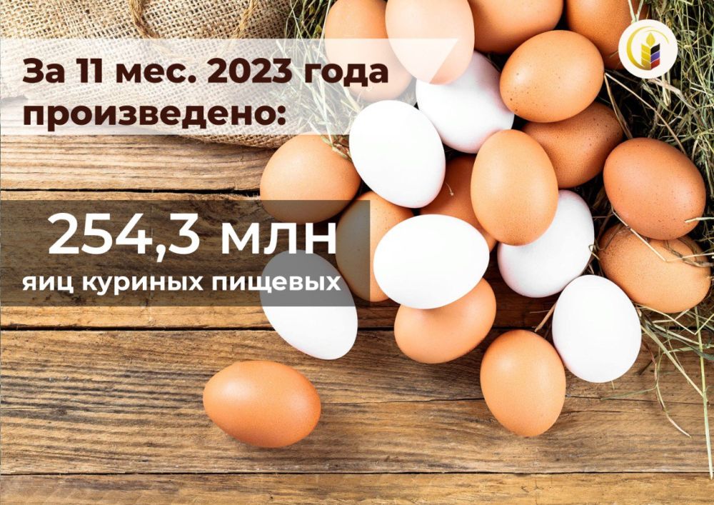 �� ������ 11 ������� 2023 ���� �� ��������� � ����������� �������� �������� ���� ����� ������������ ������� ��� �������������� �������� �������� ���������� ���������� �� 17,1% � �������� 254,3 ���.��