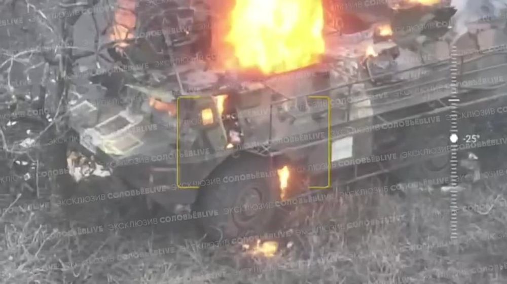 ������� �������: ���-�� � ������������ ������������� �������� �� �������� ����������� �������� ����������� ���������������� VAB