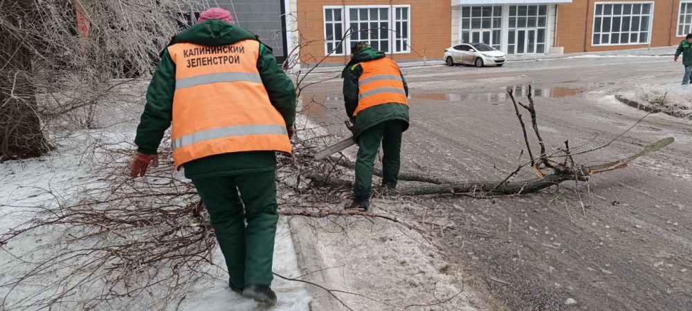 ������� ������: ������� ������ �������������� ���������� ����������� ������������� ������ ������� "����������...