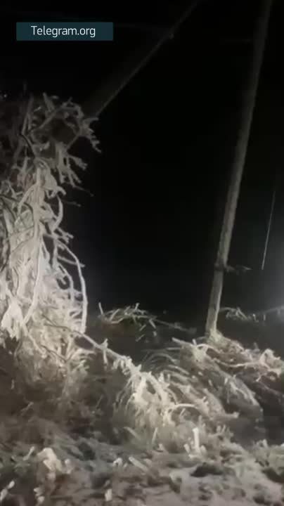 � �������-��-���� ������ ������ ����� ���� � ������������ ��������