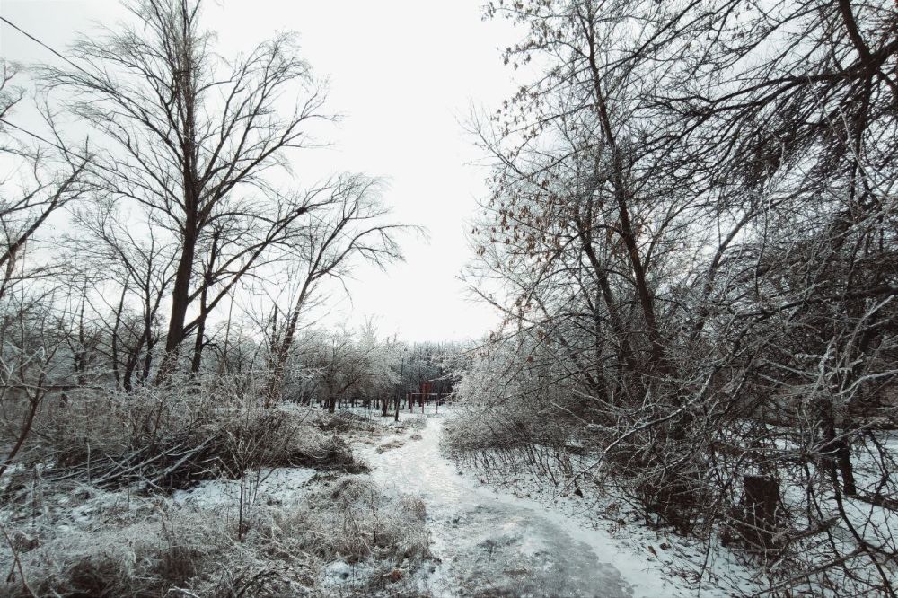 ����� ��������: ������ �������