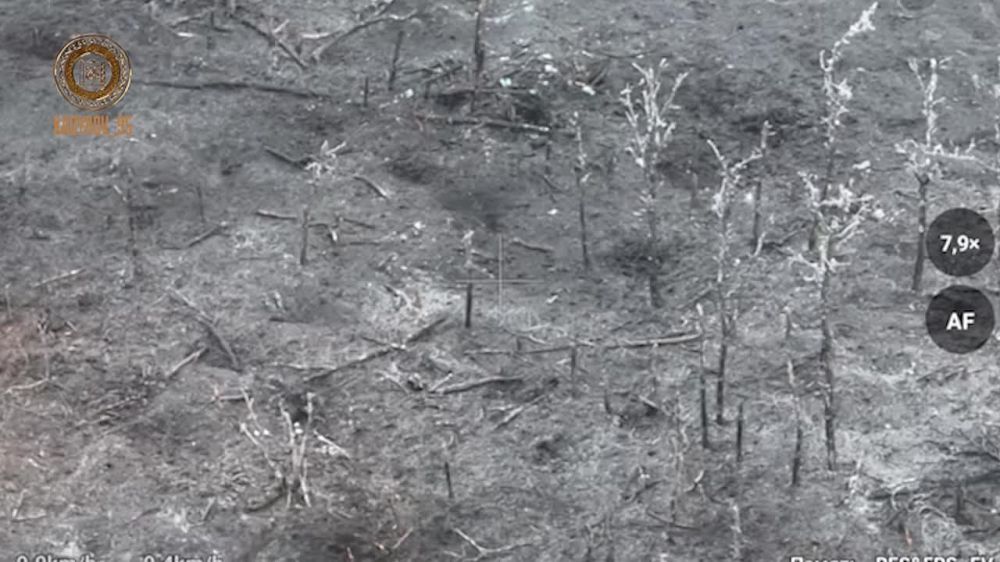 ������ �������: ����� "��������" �� ������� ��������� �� ��� ���������� ����� ���������