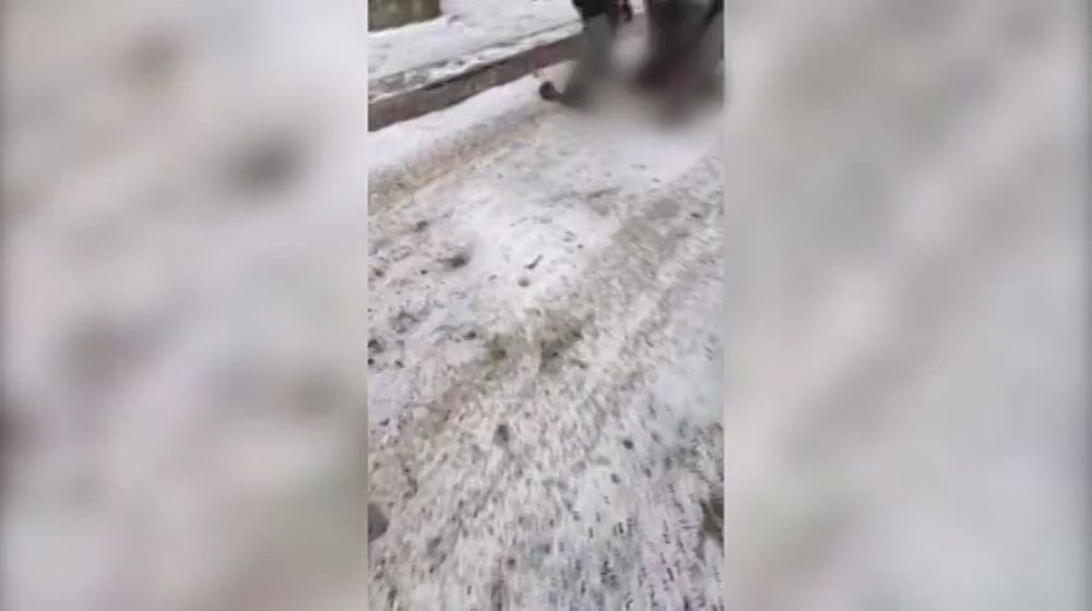 � ��������� ��������� 27-������� �������, �������������� � ����� ������������