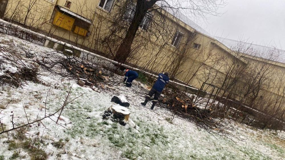 ������� ������: ������� ������ ��� ��� ����������� ������������ ������ � ��� ��� ������������ �������� ������������ ������������������ ������ ��: