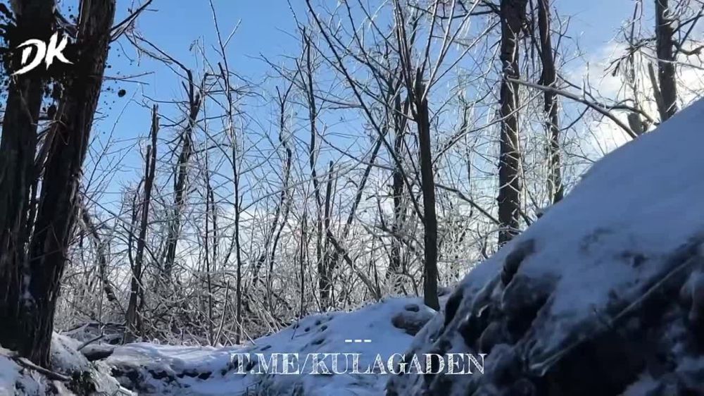 ����� ������: ������ ����� � ������� � �������-����������