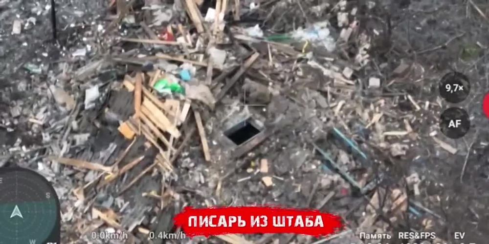 ������� �������: �������� ���� �������� ��������� ���-�����, ����� ���� � ������ �������� ������� � fpv-������ �� ����������� �����������