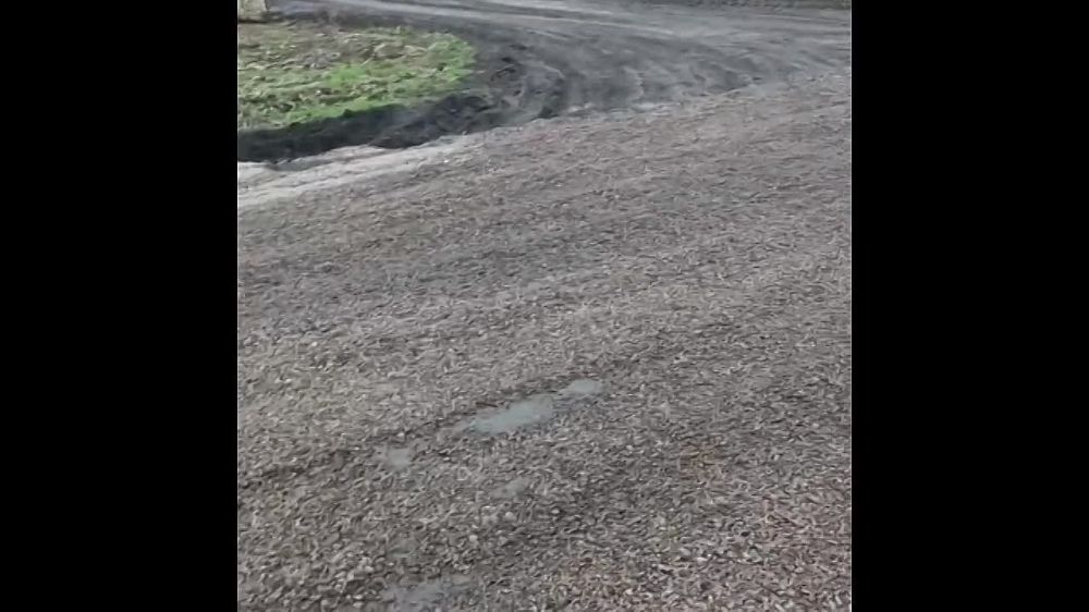 ����� ����������: ����� ������������ � ���������, �� ������ ��������� ������� �� ��� ���������� �� ����� �� ������ �������� ����������� ����� ��������, �������� ������ �������� �������