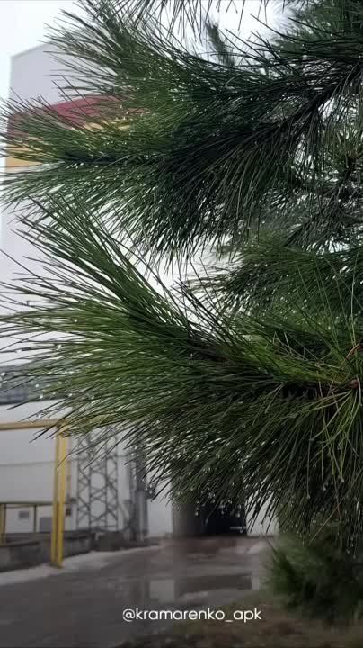 ����� ����������: ������� ������������ ������������� �������� �������� ���������� ������� ������������� ������� ������...