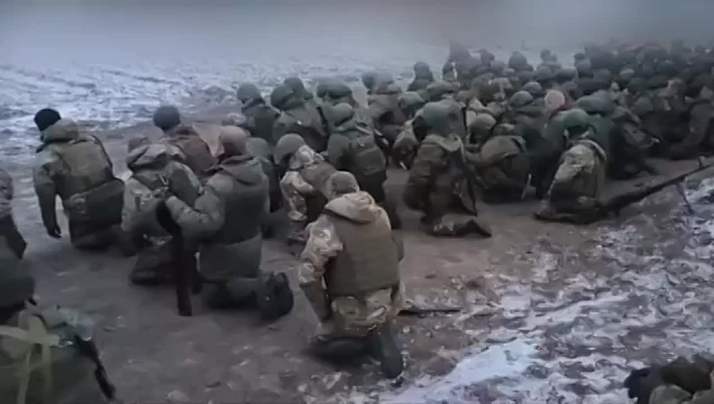 ������ ������: ������� ������� ������ ����� �������