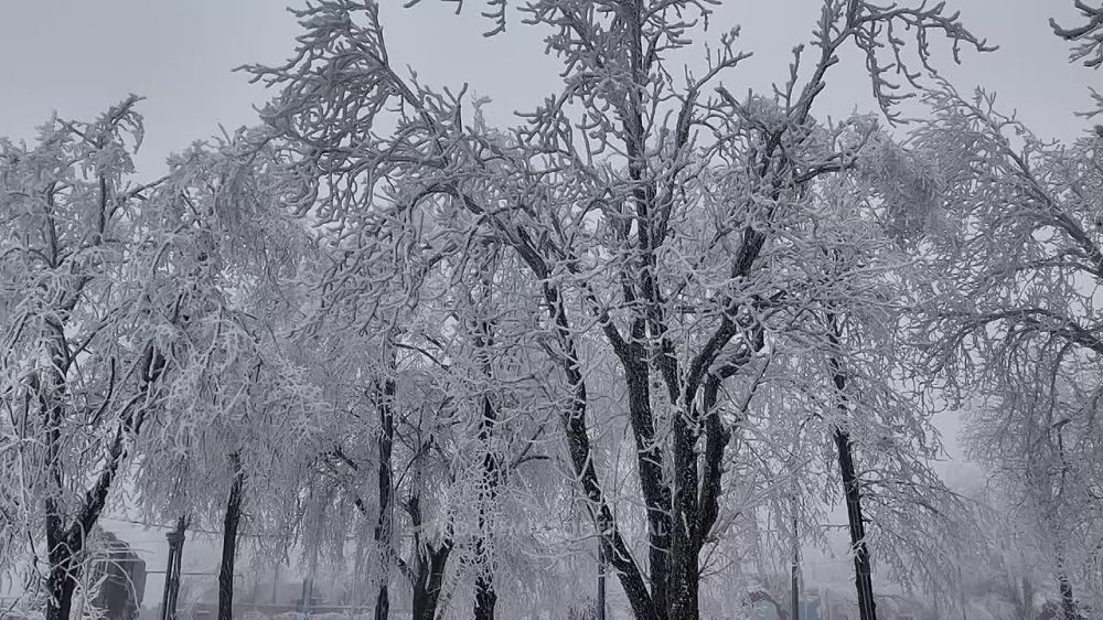 ���������� ������� � ������� ��� ������ �� ������ ������� ���������