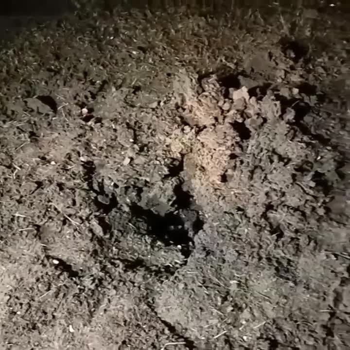 ����������� �������� ������������� � �������