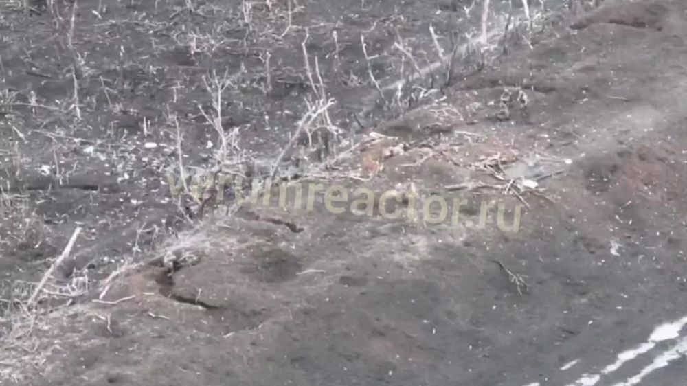 ������� �������: ���������� ���������� �� ������ ������ ��������� ������� � ���-������ �� ����� ������ ������������ �����������