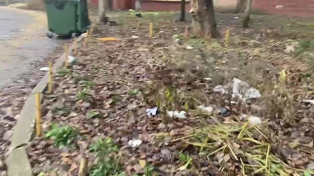 ������� ������: ������, ��������� � ��������