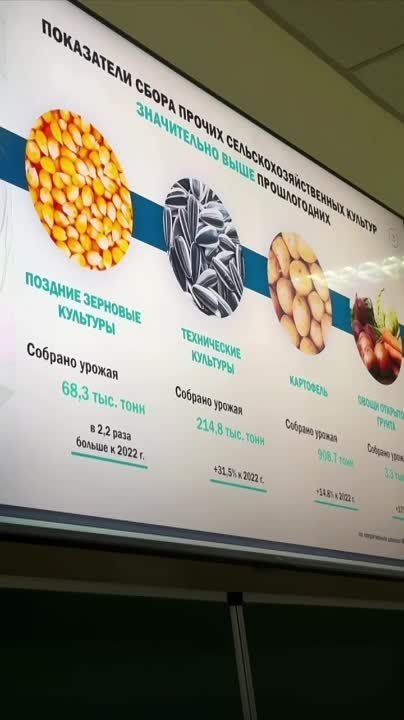 ����-������� ����� ���������� ����� ������� �� ���������� ���������� �������� ��������