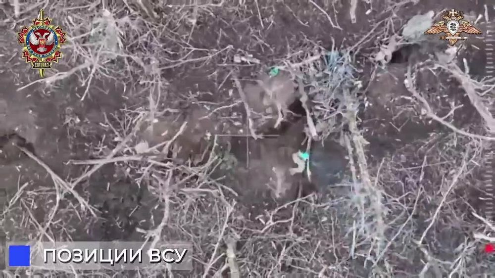 ���� �������: ����������� ������� ������� ��� ��� ������ ������