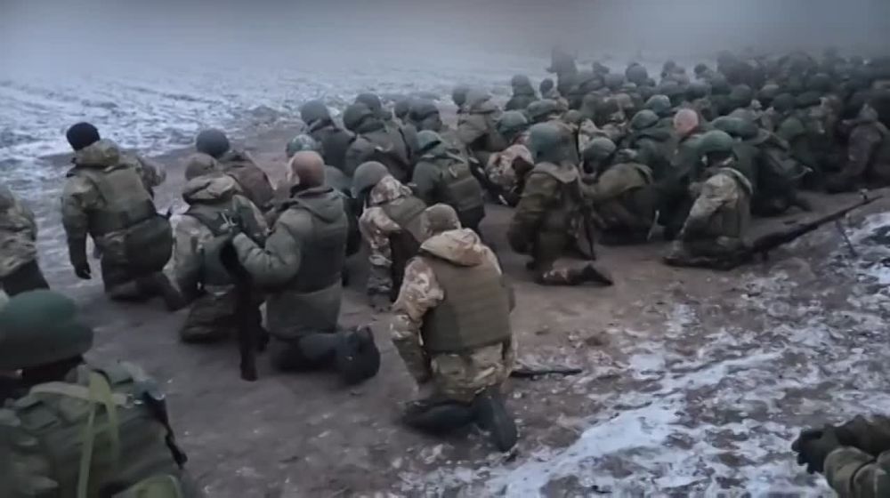 ������� �������: ���������� ����� ��������� ������������������ ������� ����� �������