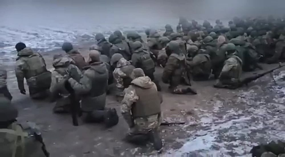 ������ ����������: ������ �������!))�������� ����� �������!