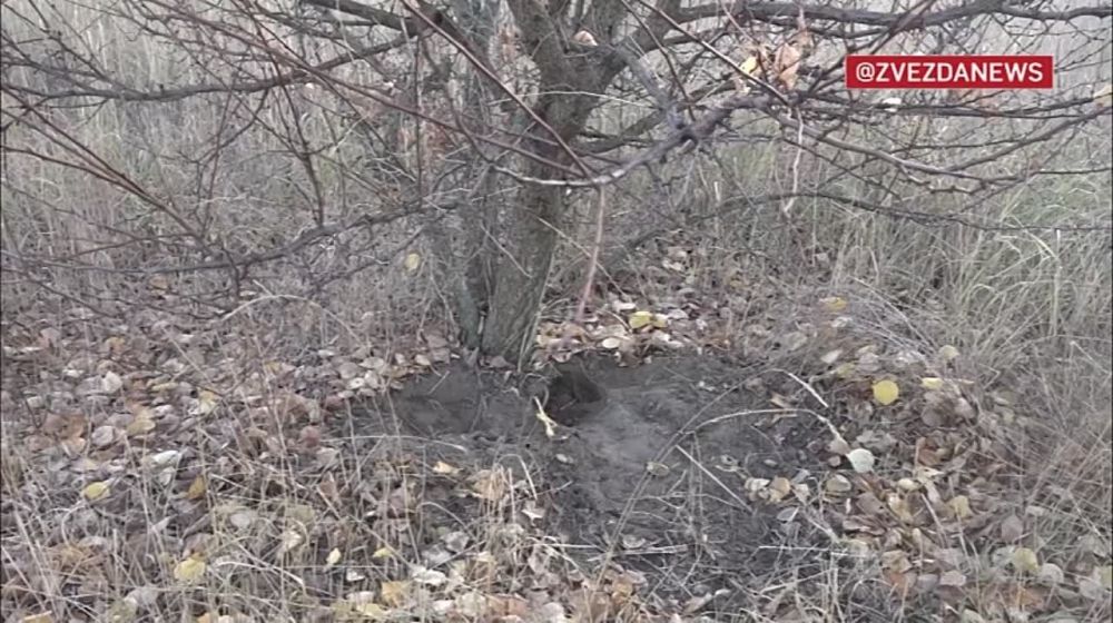 ��������� �������: ����� ���������� ������� ������� ���������� ������� �� ������� ���