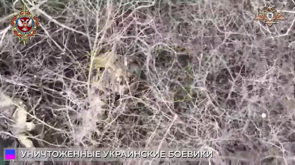 58 ����� "��������� �� ��������" �� ������ �������, �� � �������� ���