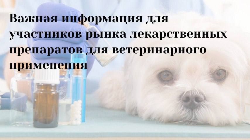 ������ �������������� ������������� ���������� ��� ������������� ���������� ���������� ��������, ������� ��������������� ���������� GMP, �������� �� ������